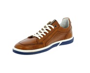 Floris Van Bommel Sneakers cognac