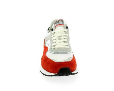 Floris Van Bommel Basket