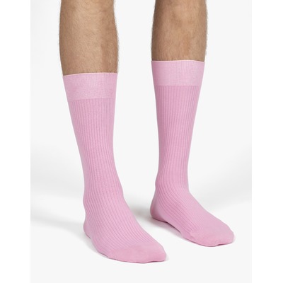 Sokio  roze