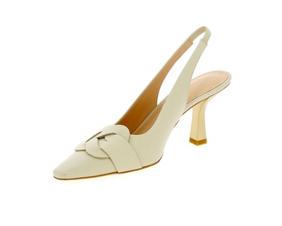 Zinda Pumps