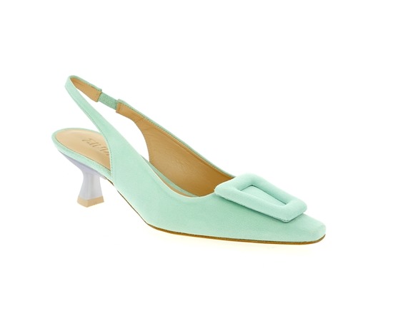 Zinda Pumps munt