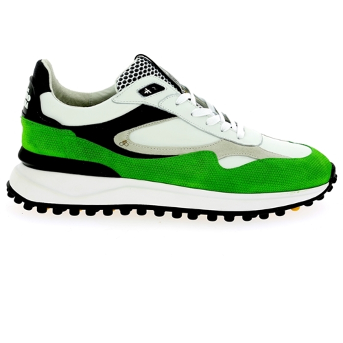 Floris Van Bommel basket vert vert