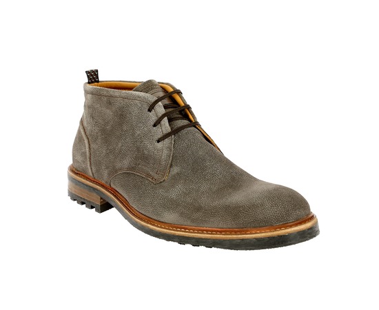 Floris Van Bommel Bottines taupe