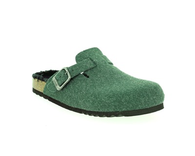 Scholl