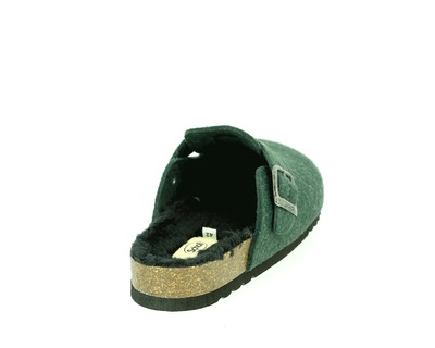 Scholl