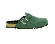 Scholl kaki
