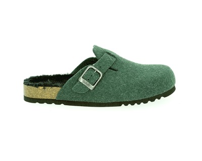 Scholl