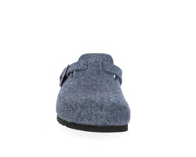 Scholl