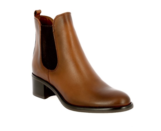 Gioia Boots bruin