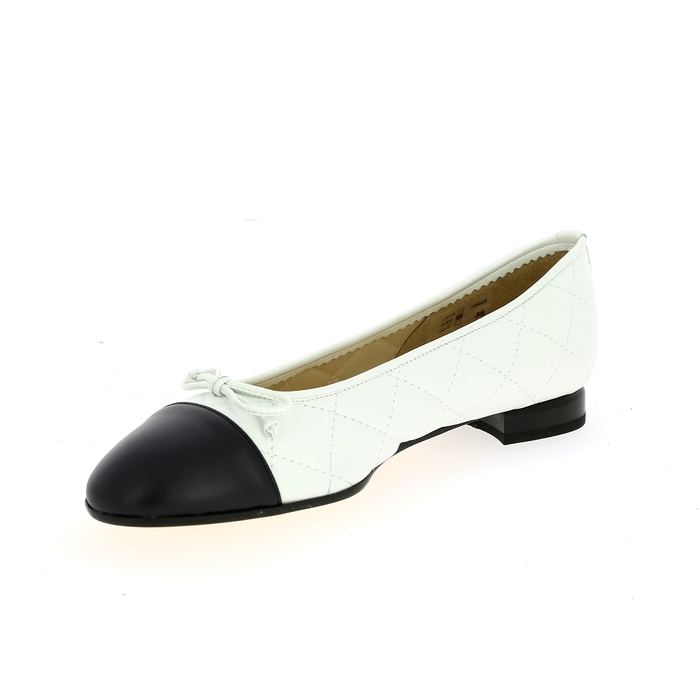 Brunate ballerinas wit wit
