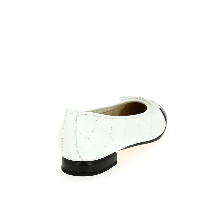 Brunate ballerinas wit wit