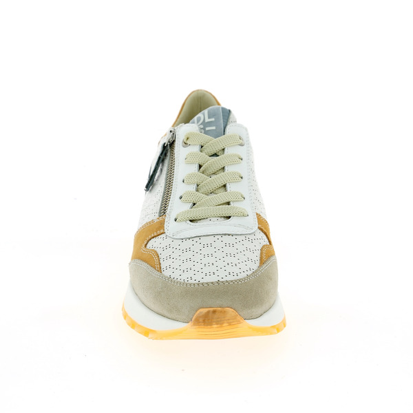 Dlsport Baskets