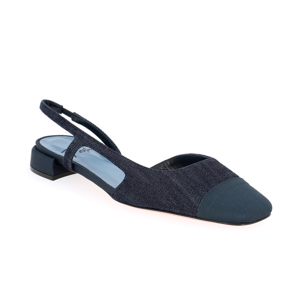 Roberto Festa Ballerina's