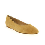Delaere Ballerina's