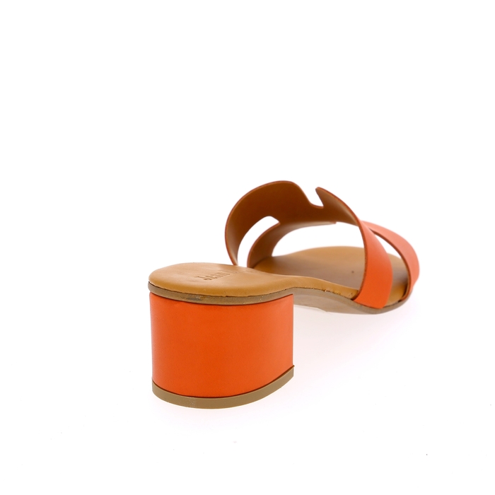 Delaere mulles orange orange