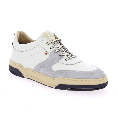 Floris Van Bommel basket gris