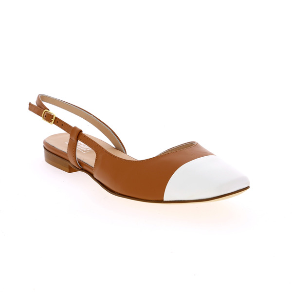 Delaere Ballerina's
