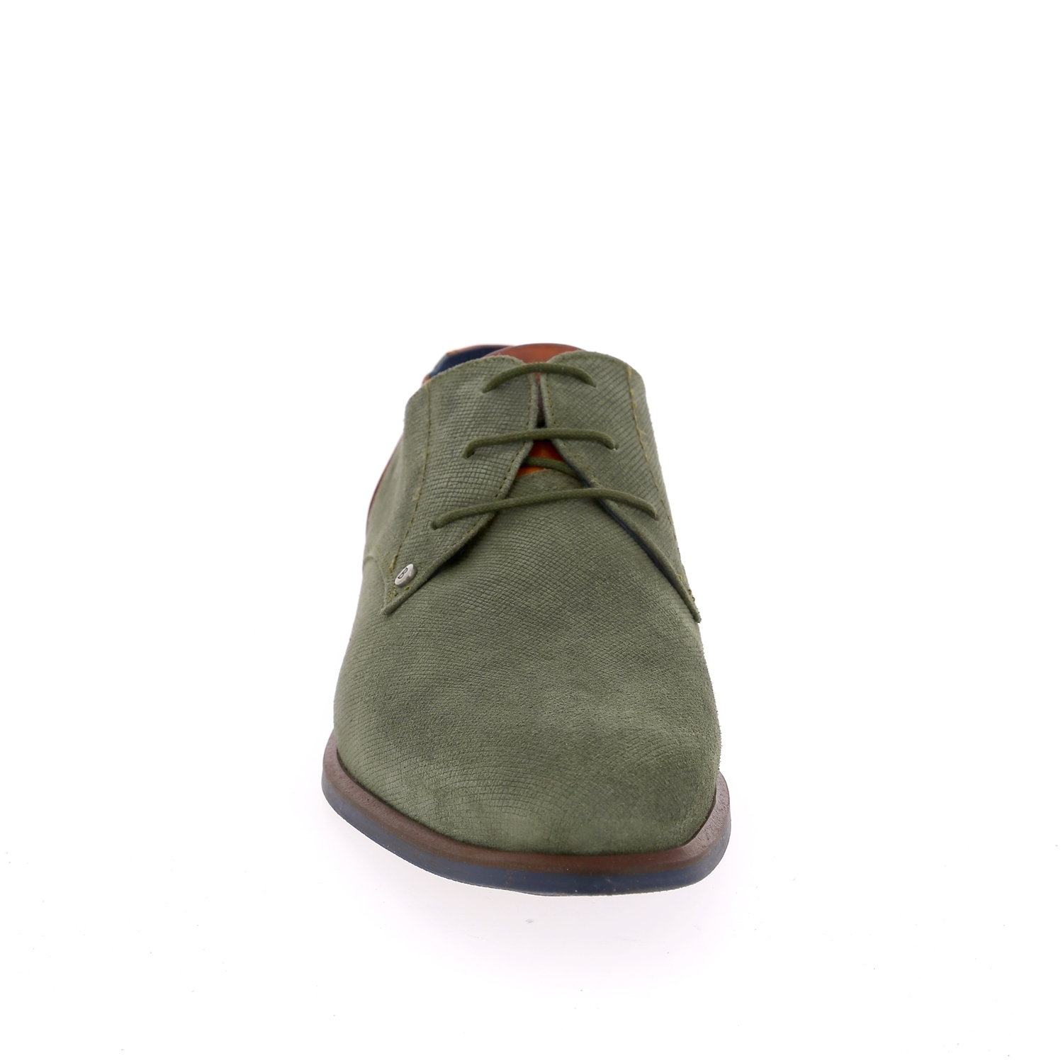 Zoom Berkelmans molières vert