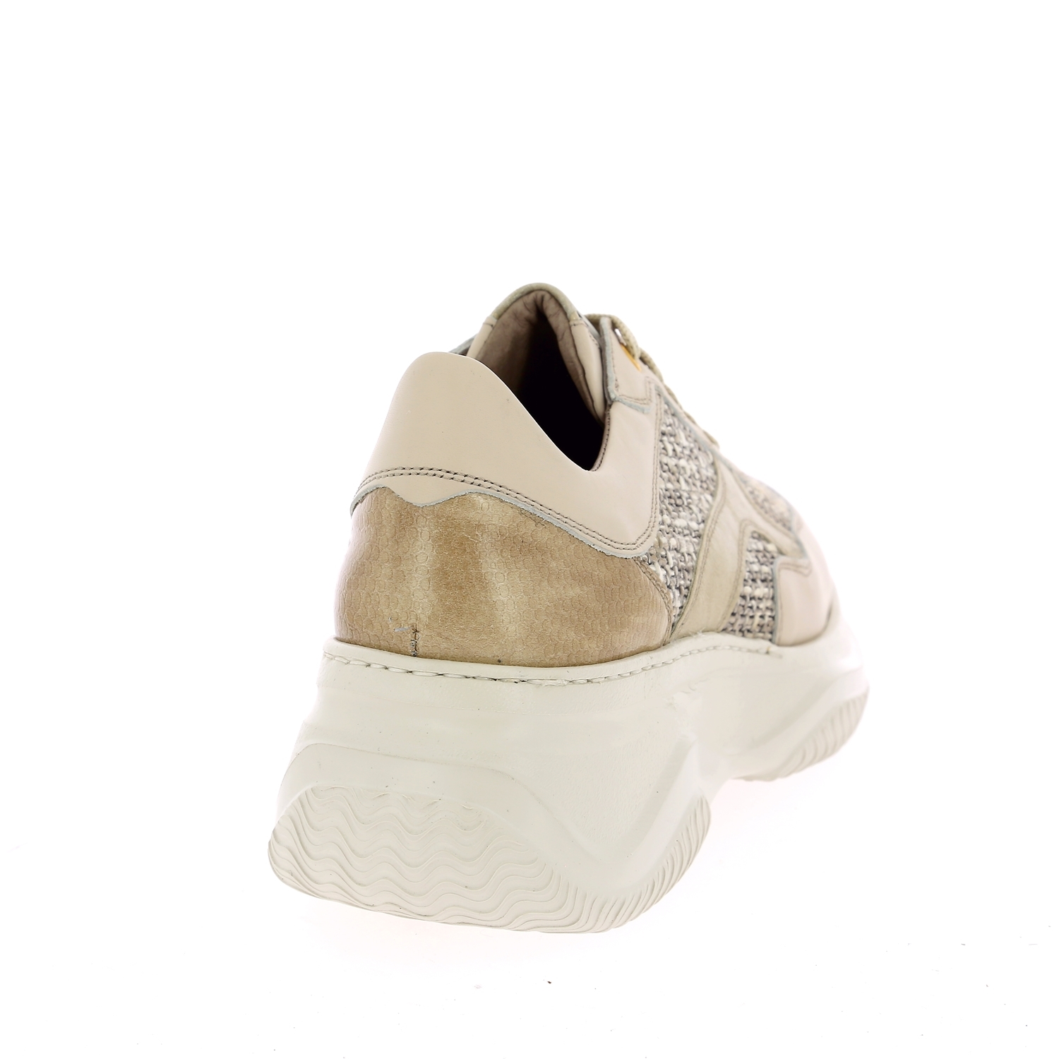 Zoom Dlsport basket