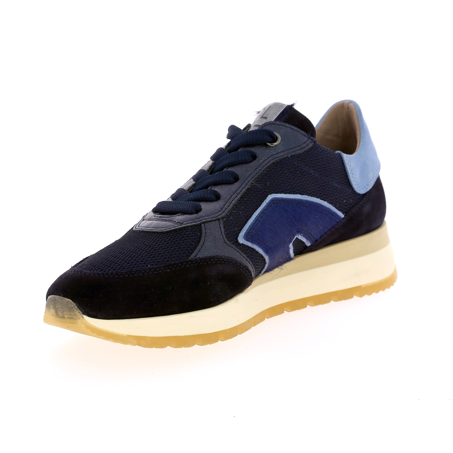 Zoom Dlsport basket bleu