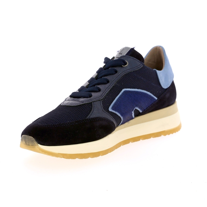 Dlsport basket bleu bleu