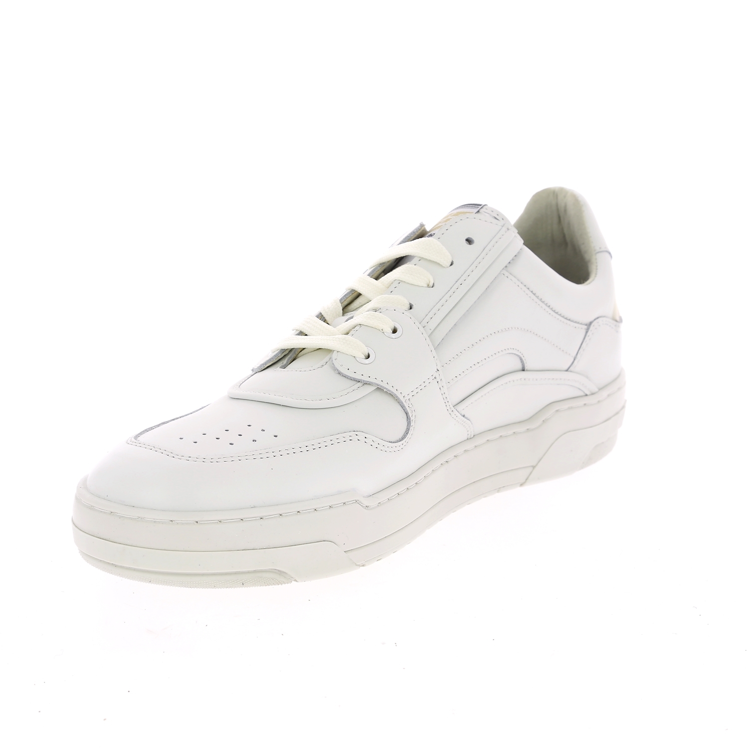 Zoom Floris Van Bommel sneakers wit