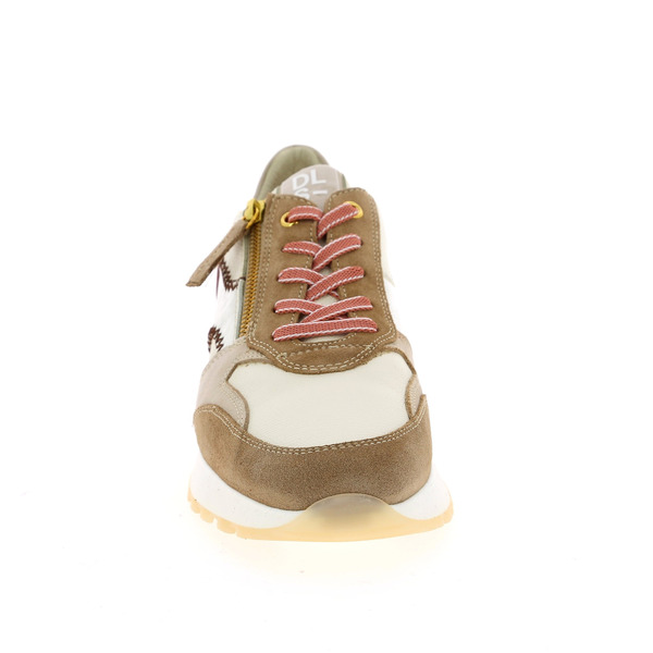 Dlsport Sneakers