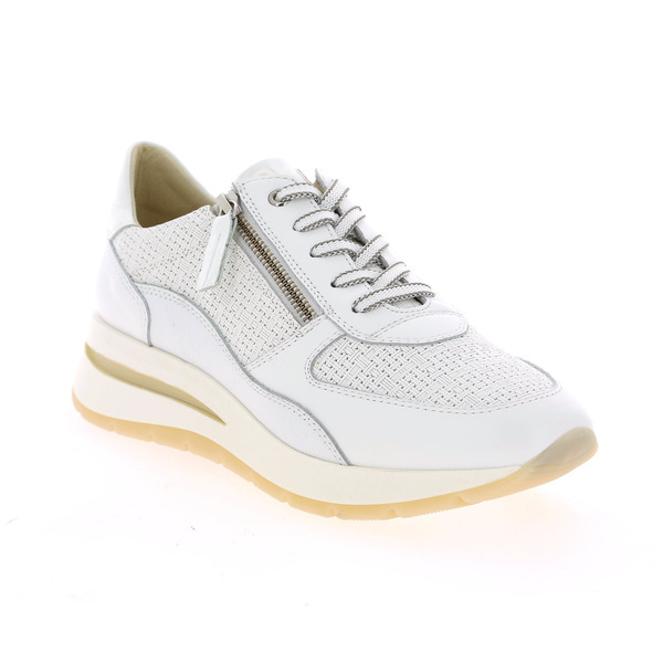 Dlsport Sneakers