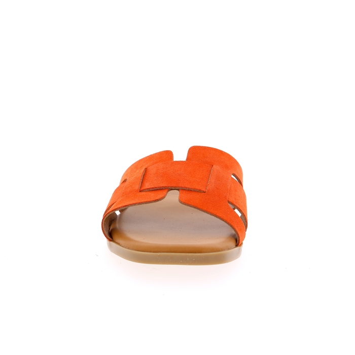 Cypres mulles orange orange