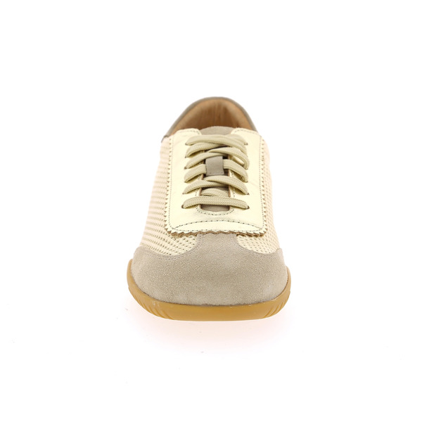 Rapid Soul Baskets