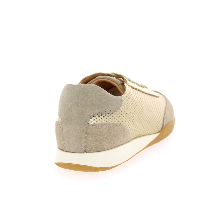 Rapid Soul basket or or