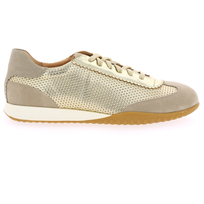 Rapid Soul basket or or