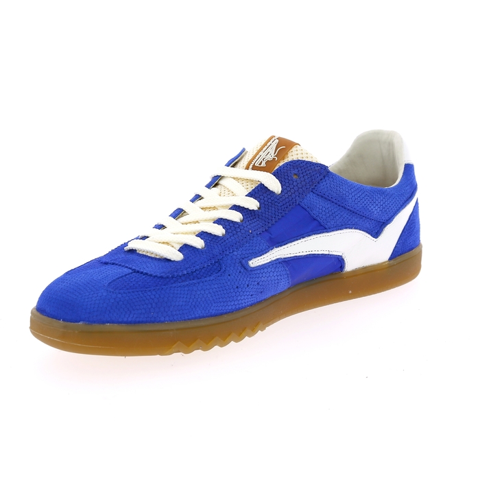 Floris Van Bommel basket bleu bleu