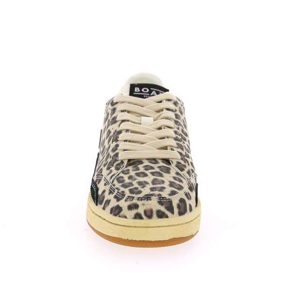 Boax Baskets