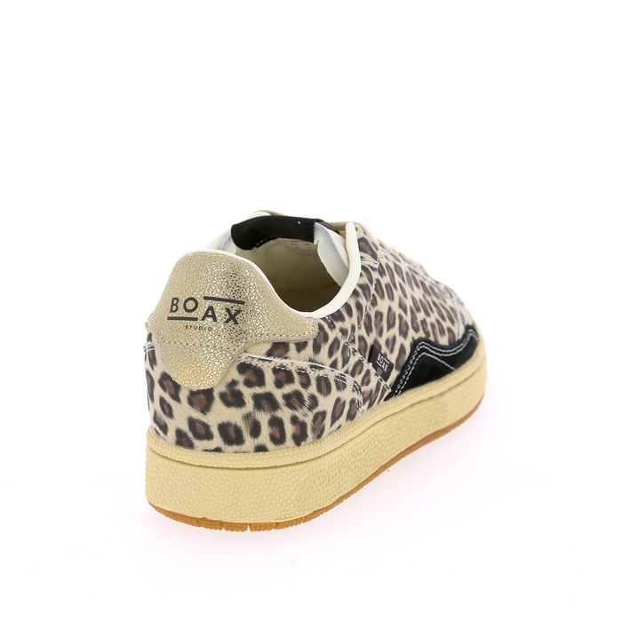 Boax basket leopard leopard