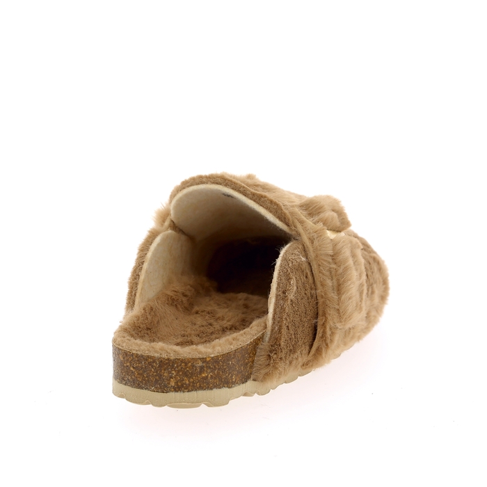 Cypres camel camel