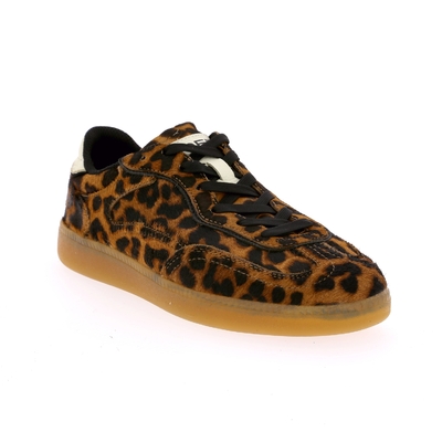 Hoff sneakers camel