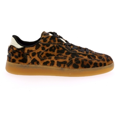 Hoff sneakers camel