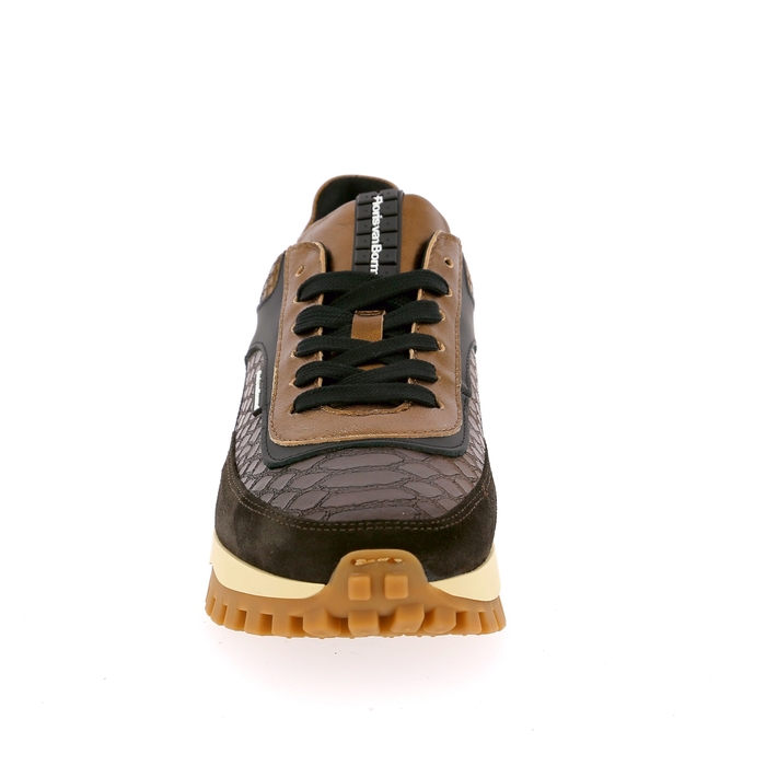 Floris Van Bommel basket brun brun