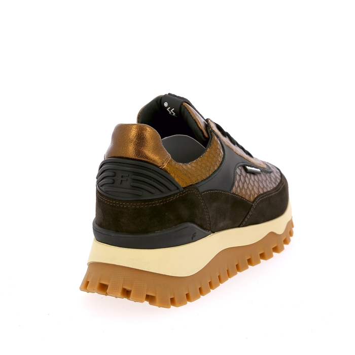 Floris Van Bommel basket brun brun