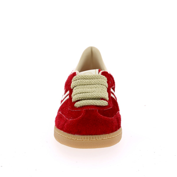 Primabase Baskets