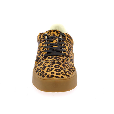 Sun68 sneakers camel