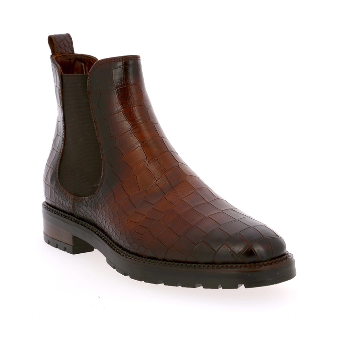 Gioia boots bruin bruin