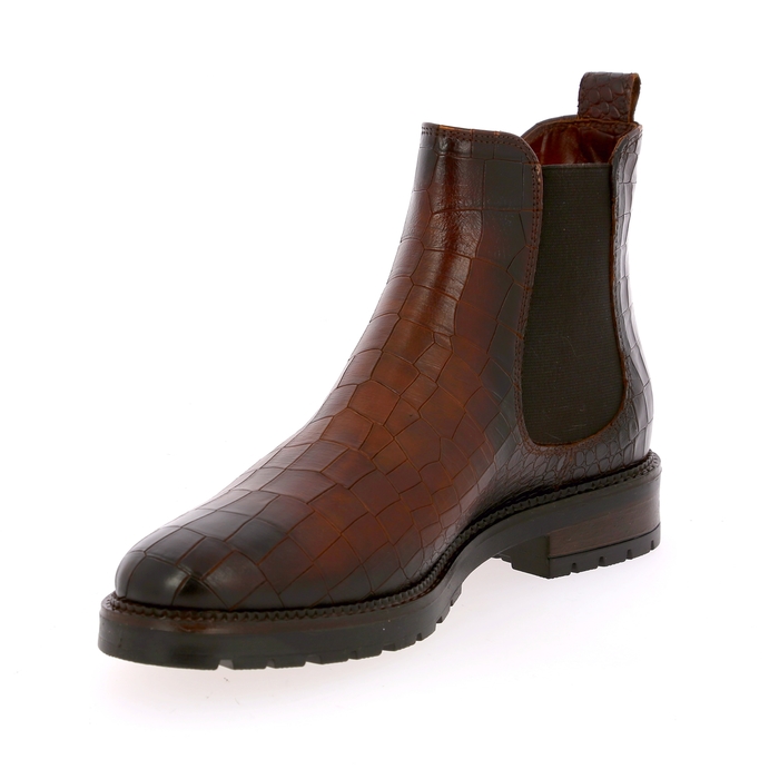 Gioia boots bruin bruin