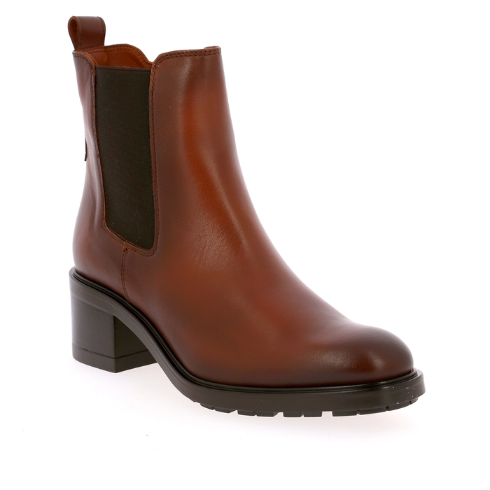 Gioia boots bruin bruin