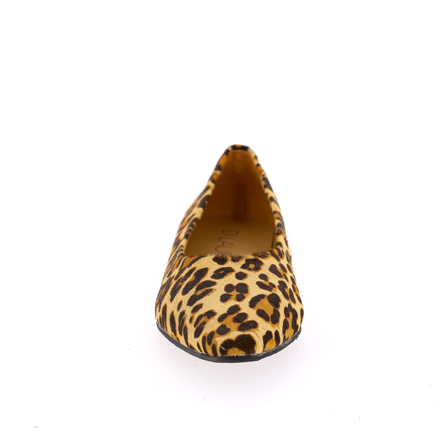 Zoom Di Lauro ballerinas luipaard