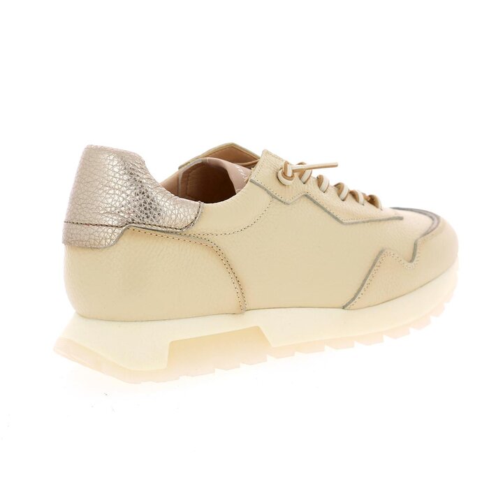 Hispanitas Basket milk