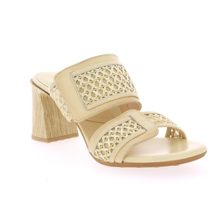 Hispanitas Mulles milk