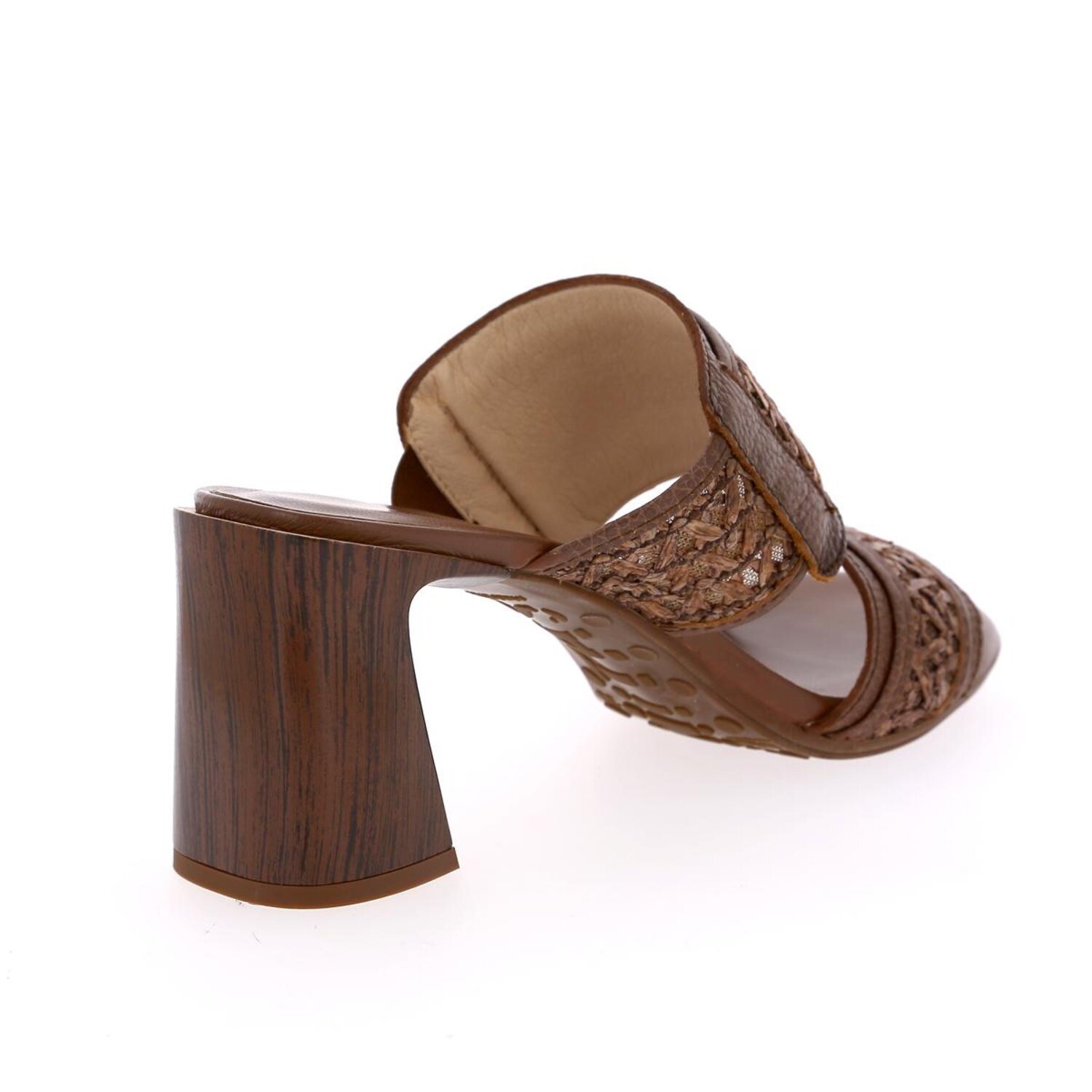 Zoom Hispanitas Mulles