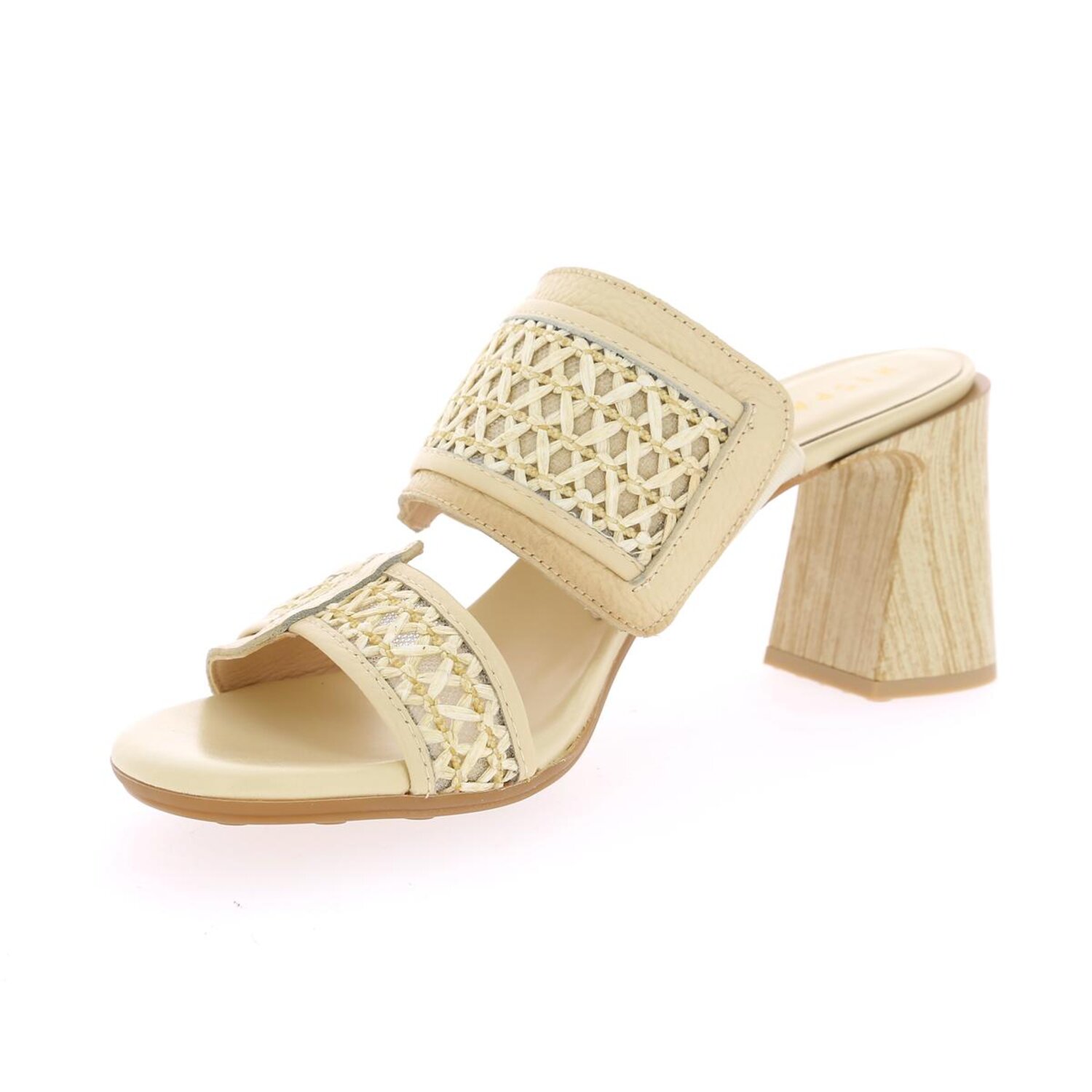 Zoom Hispanitas Mulles